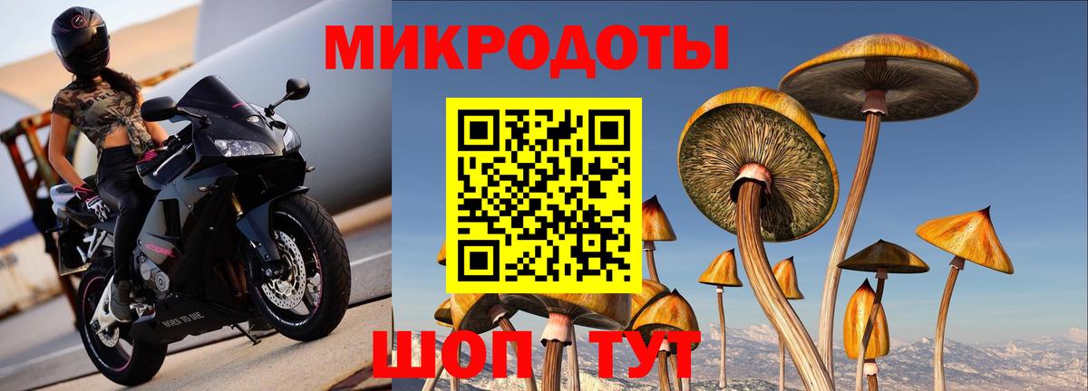 Псилоцибиновые грибы Psilocybine cubensis  Вход с VPN  Азов 